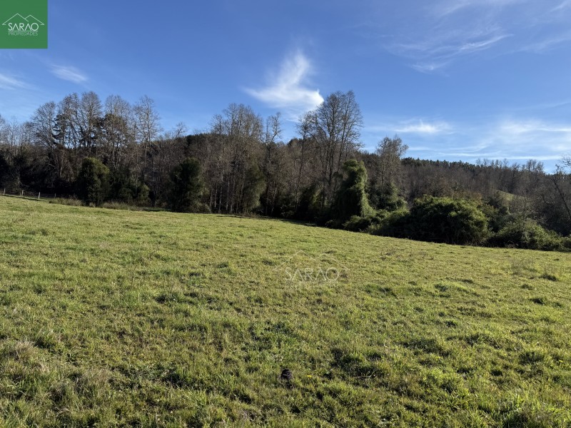 Parcela en venta en Fresia — foto 6