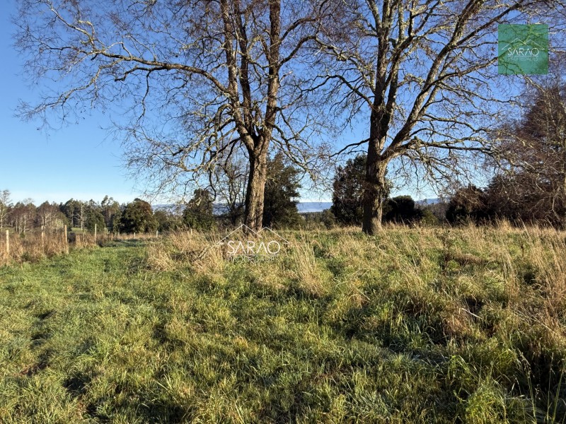 Parcela en venta en Fresia — foto 6