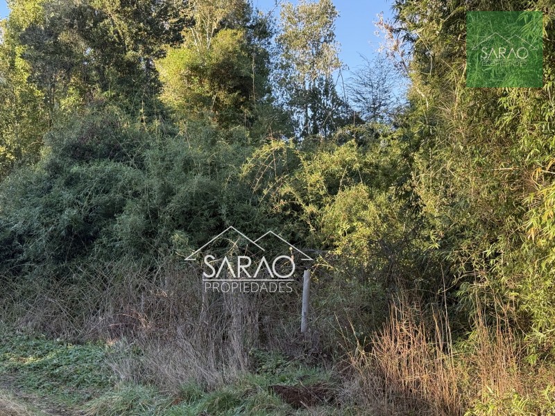 Parcela en venta en Fresia — foto 3