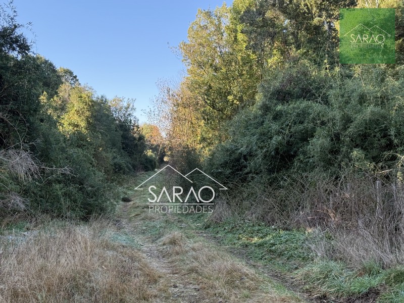 Parcela en venta en Fresia — foto 4