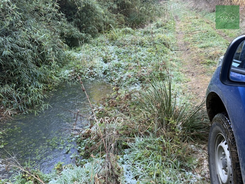Parcela en venta en Fresia — foto 5