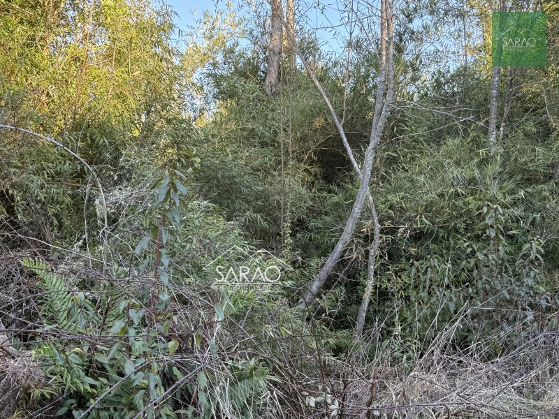 Parcela en venta en Fresia — foto 7