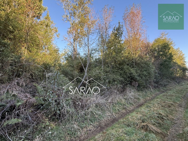 Parcela en venta en Fresia — foto 8