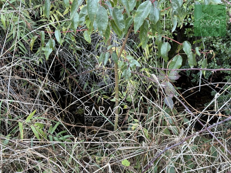 Parcela en venta en Fresia — foto 9