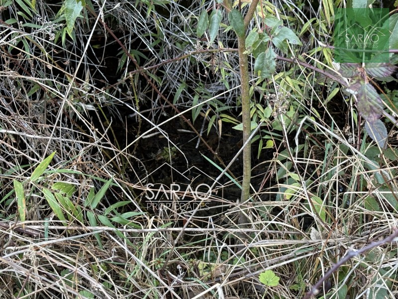 Parcela en venta en Fresia — foto 10