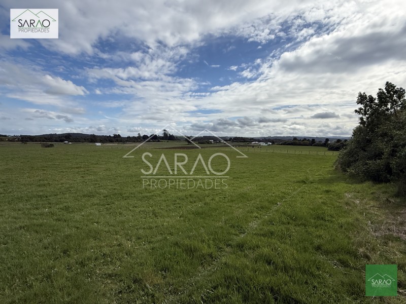 Parcela en venta en Los Muermos — foto 5