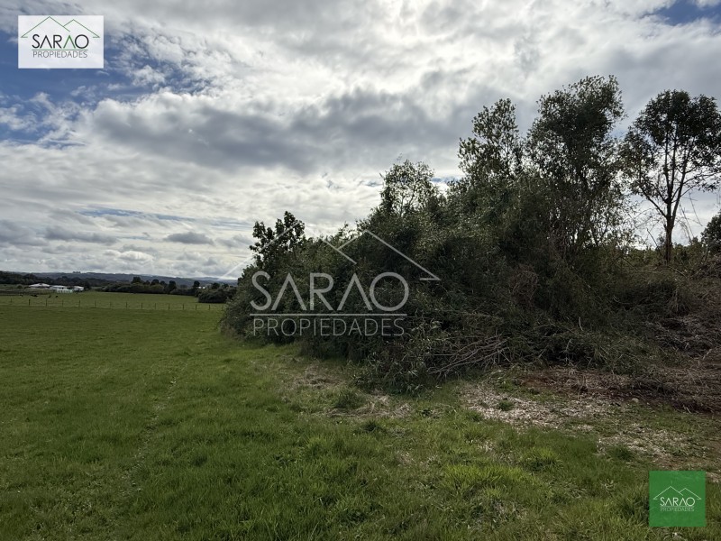 Parcela en venta en Los Muermos — foto 8