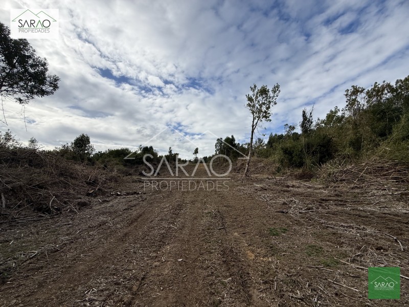 Parcela en venta en Los Muermos — foto 9