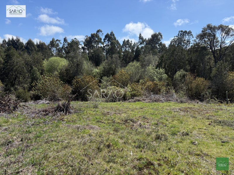Parcela en venta en Puerto Varas — foto 5