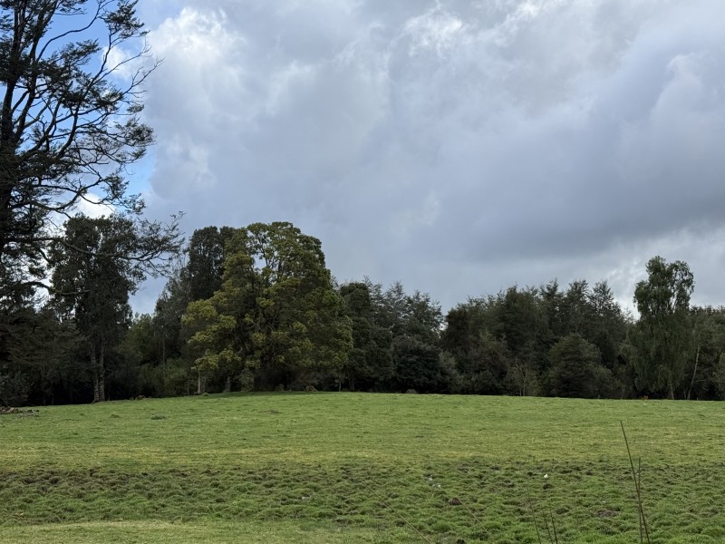 Parcela en venta en Fresia — foto 1