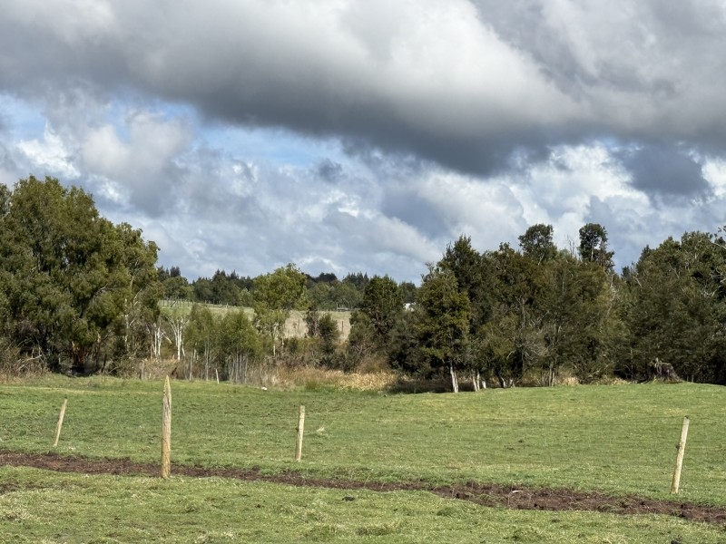 Parcela en venta en Fresia — foto 2