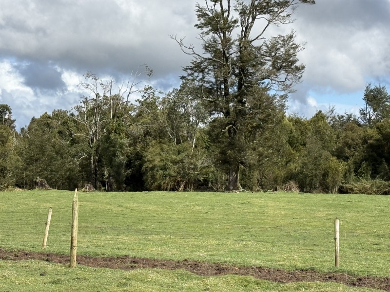 Parcela en venta en Fresia — foto 3