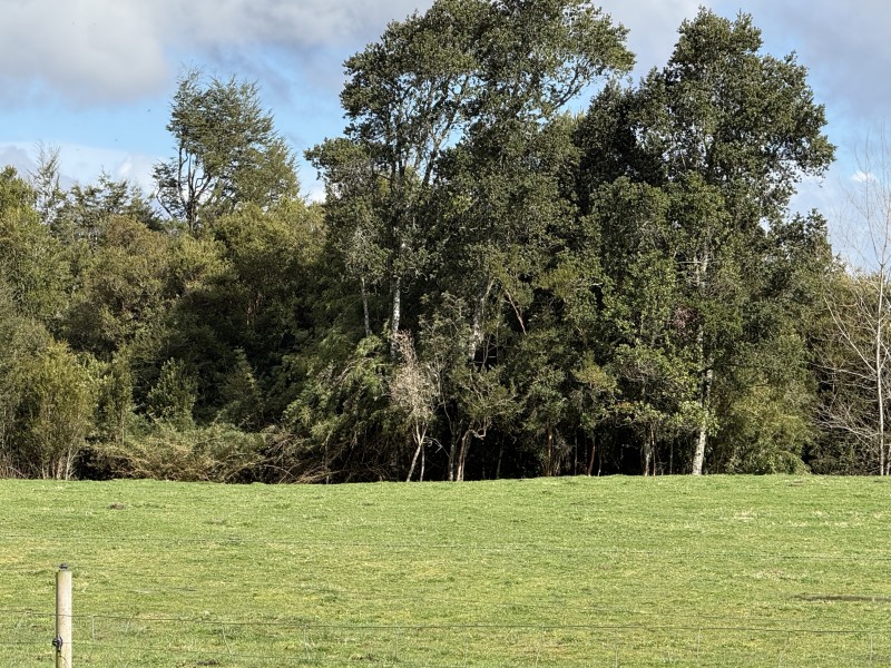 Parcela en venta en Fresia — foto 4