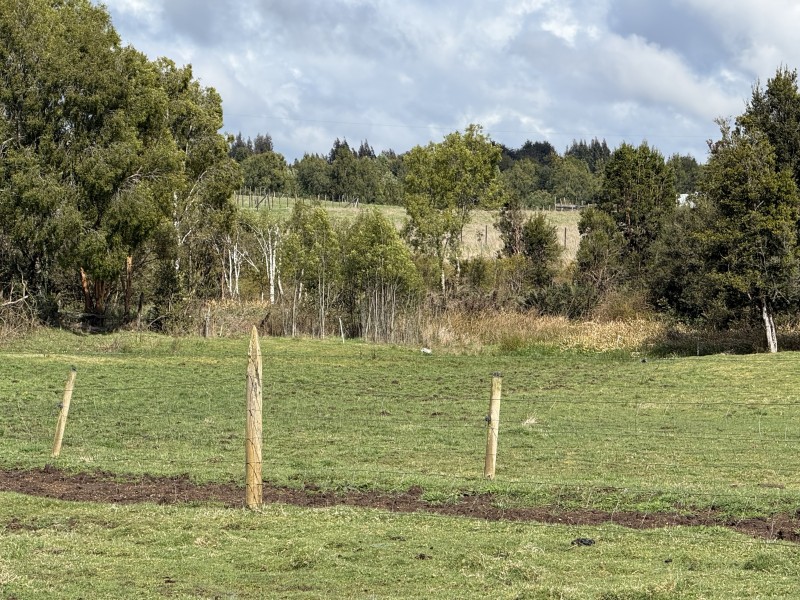 Parcela en venta en Fresia — foto 5