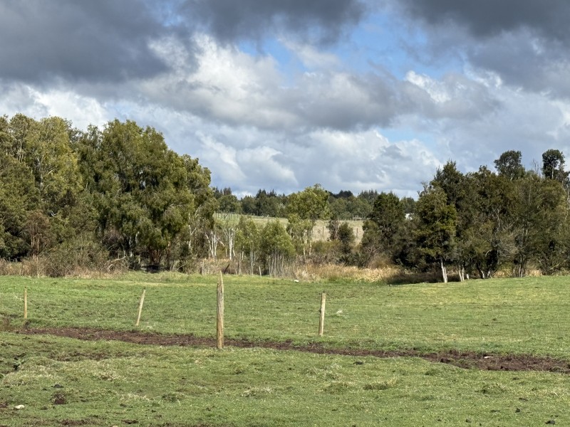 Parcela en venta en Fresia — foto 6