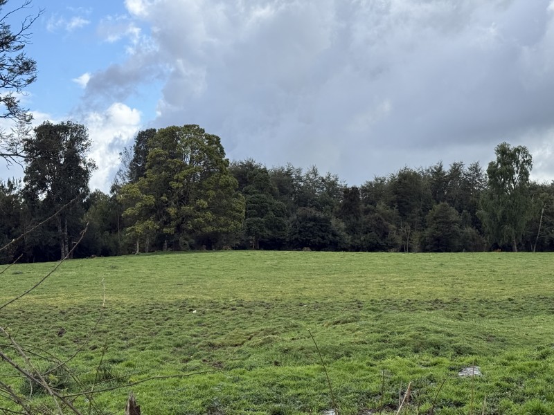 Parcela en venta en Fresia — foto 8