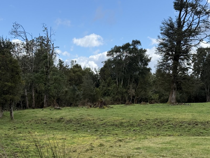Parcela en venta en Fresia — foto 9