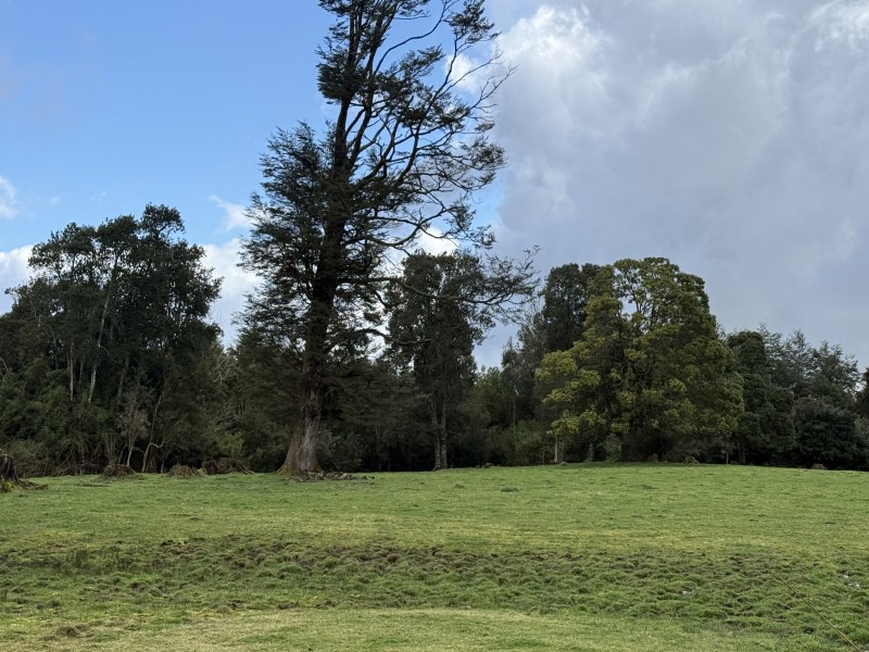 Parcela en venta en Fresia — foto 10