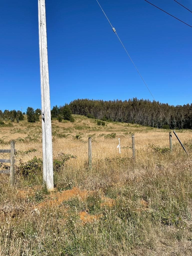Parcela en venta en Fresia — foto 3