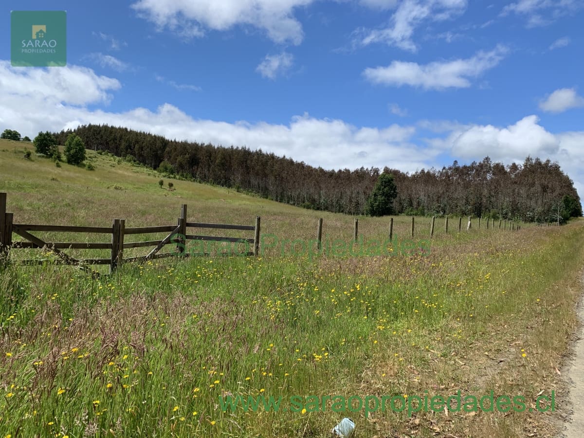 Parcela en venta en Fresia — foto 4