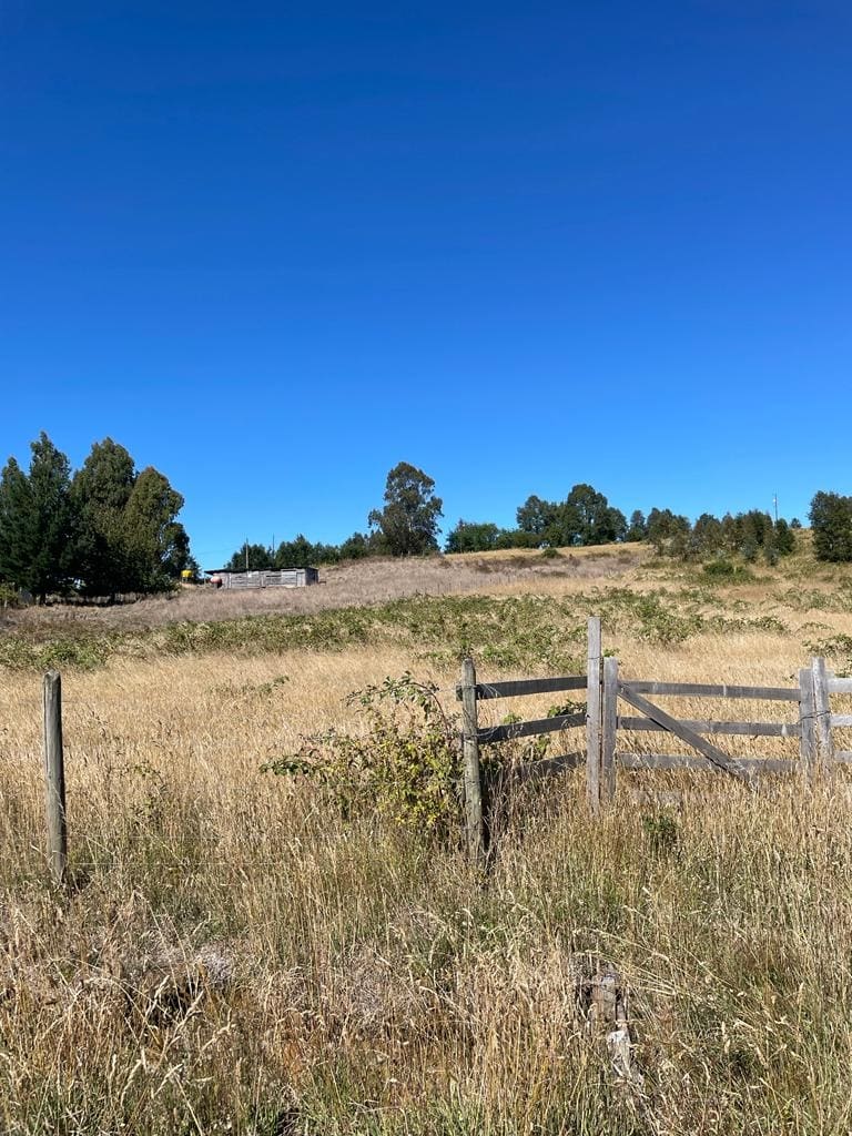 Parcela en venta en Fresia — foto 8
