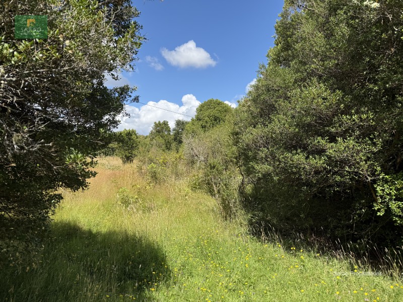 Parcela en venta en Fresia — foto 1