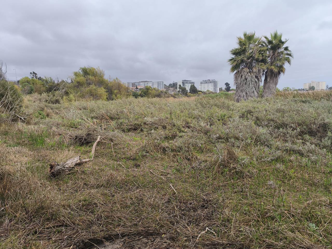 Terreno en venta en La Serena — foto 5