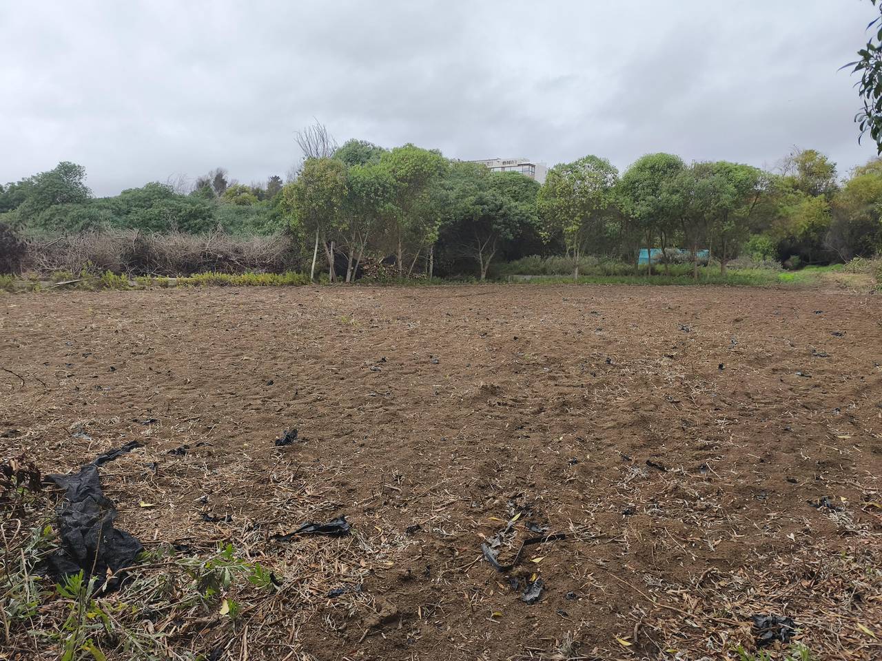 Terreno en venta en La Serena — foto 6