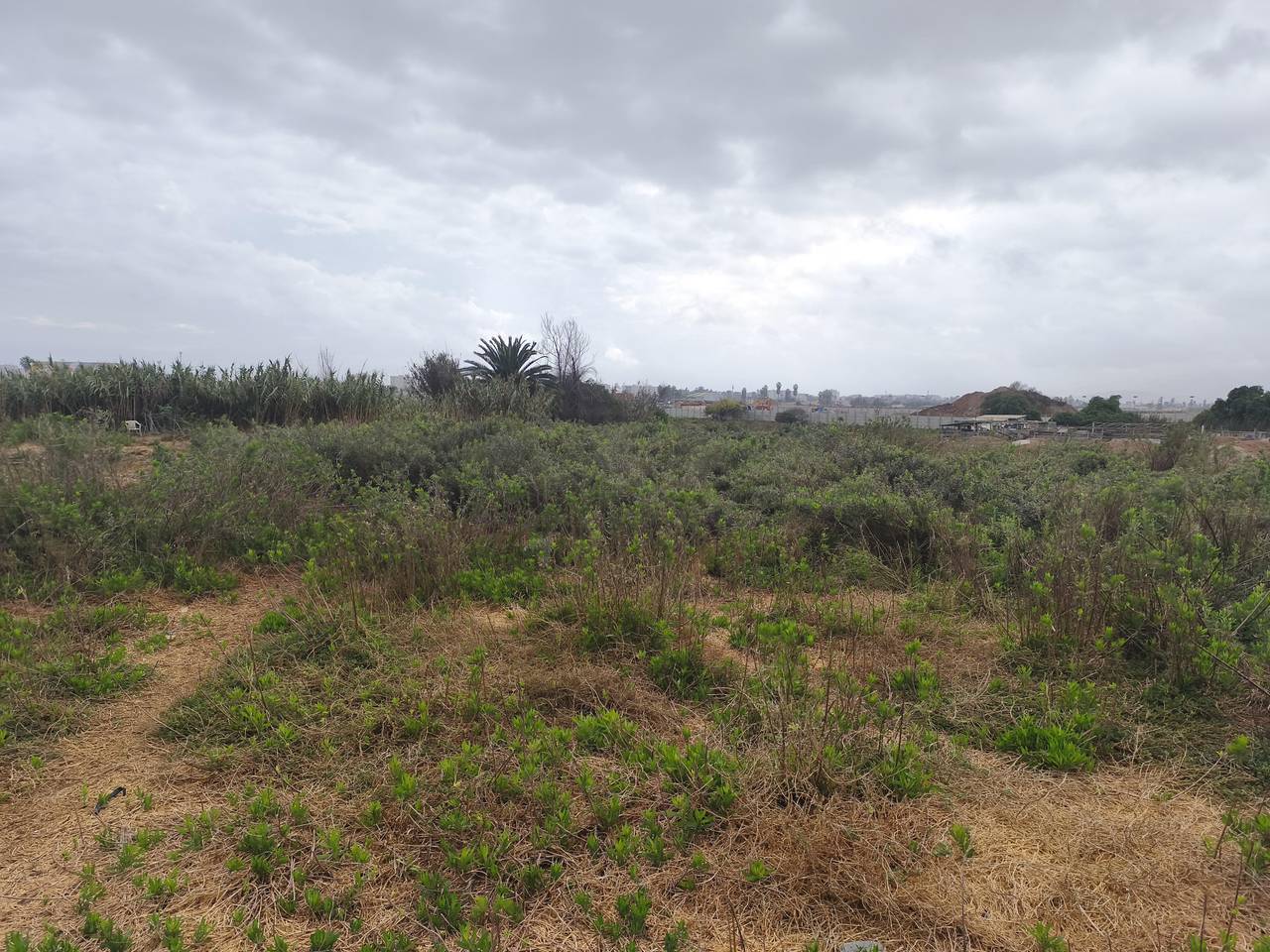Terreno en venta en La Serena — foto 7