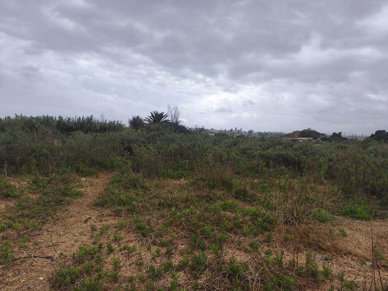 Terreno en venta en La Serena — foto 10