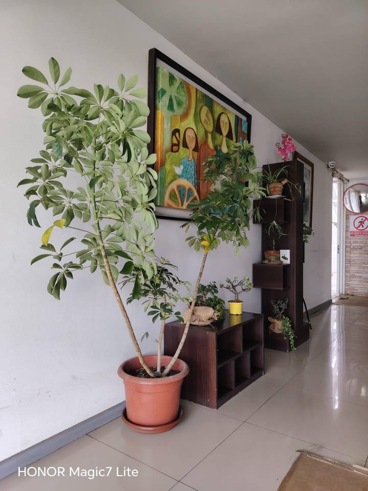 Departamento en arriendo en Coquimbo — foto 7