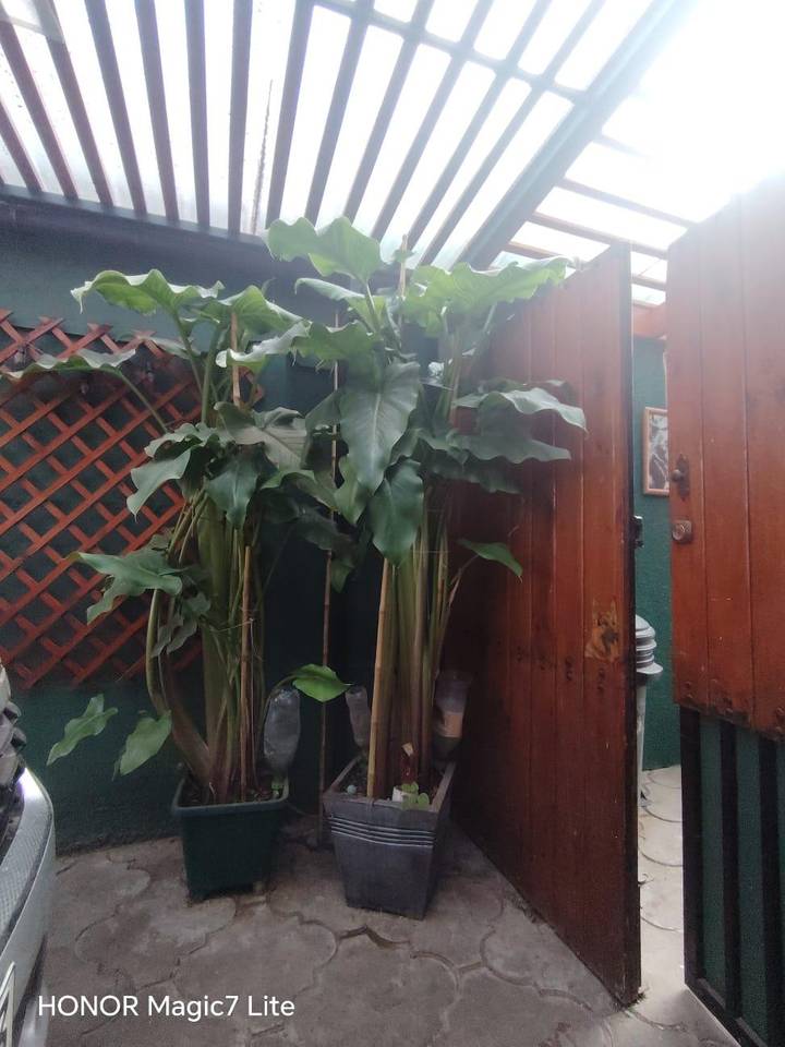 Departamento en venta en La Serena — foto 2