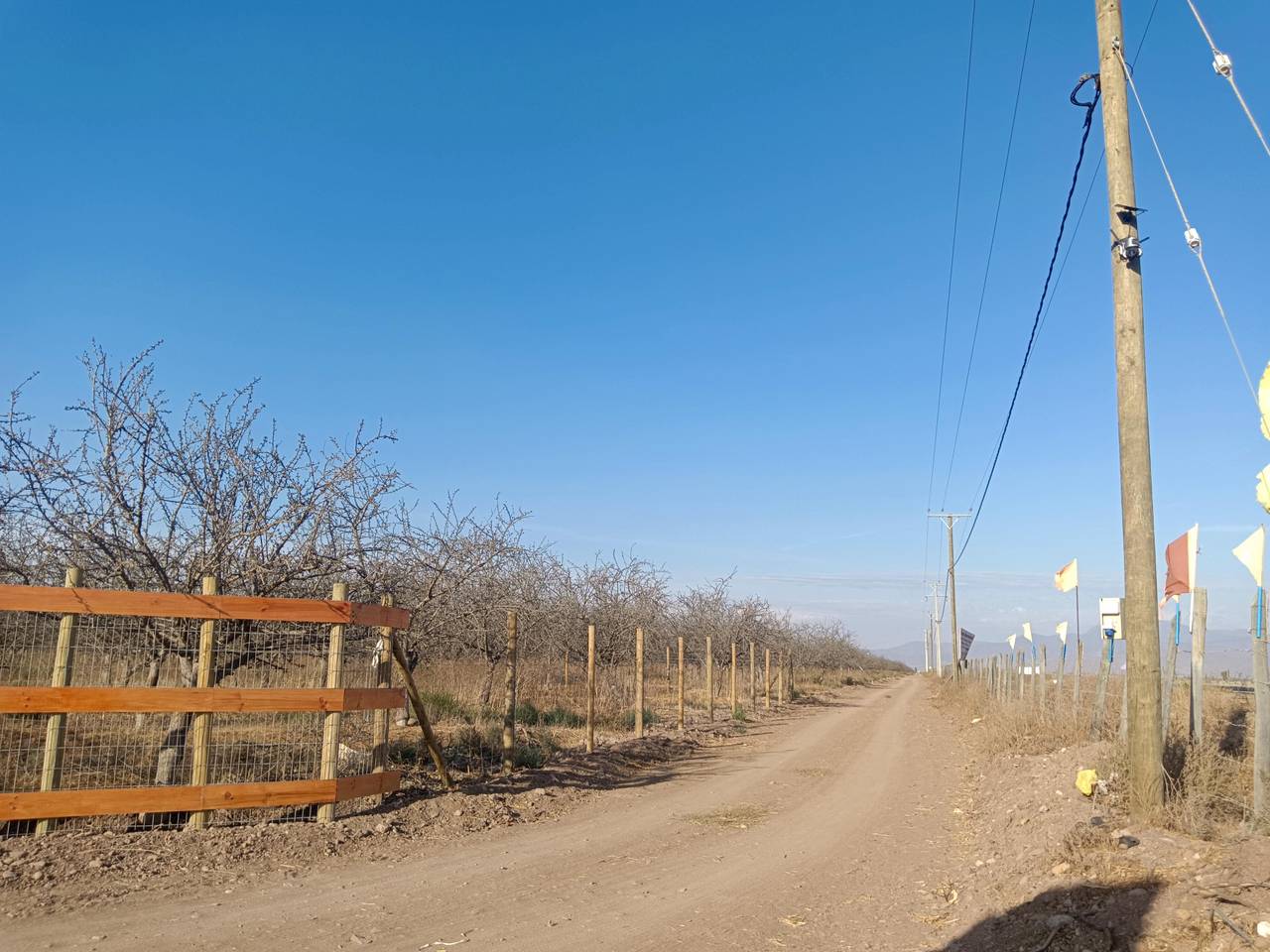 Terreno en venta en Ovalle — foto 3