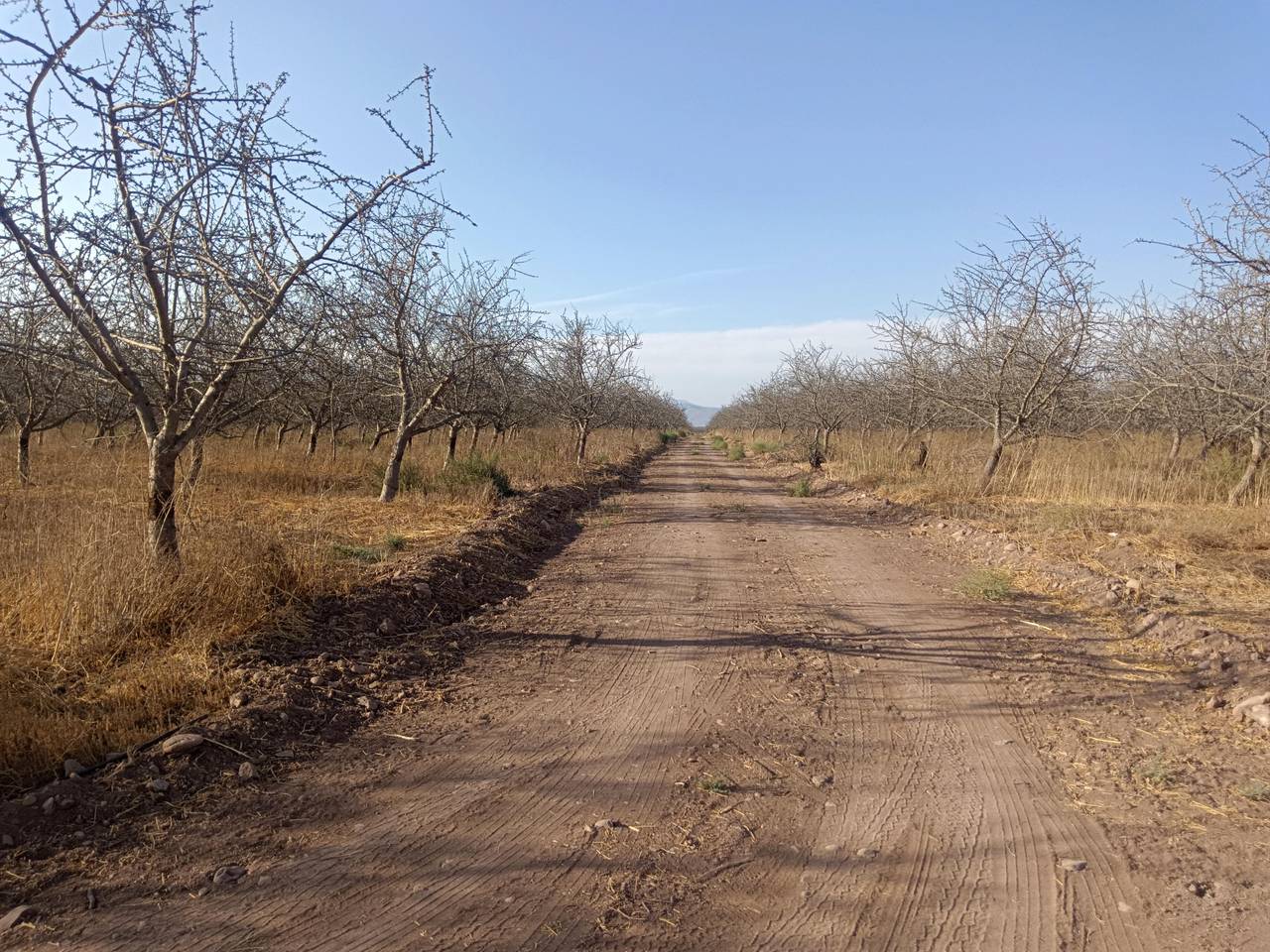 Terreno en venta en Ovalle — foto 4