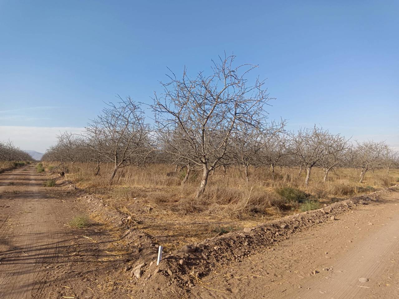 Terreno en venta en Ovalle — foto 6