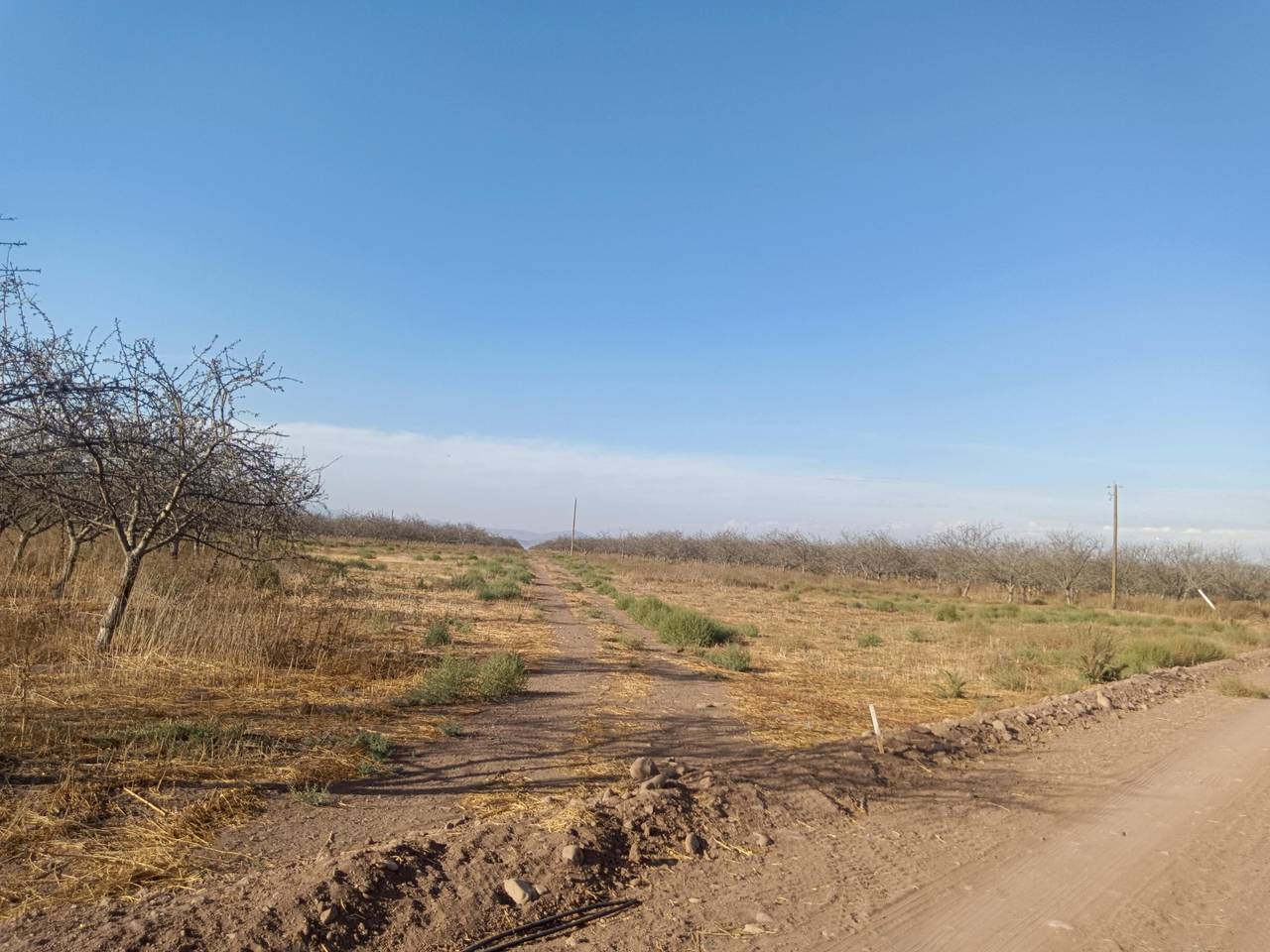 Terreno en venta en Ovalle — foto 7