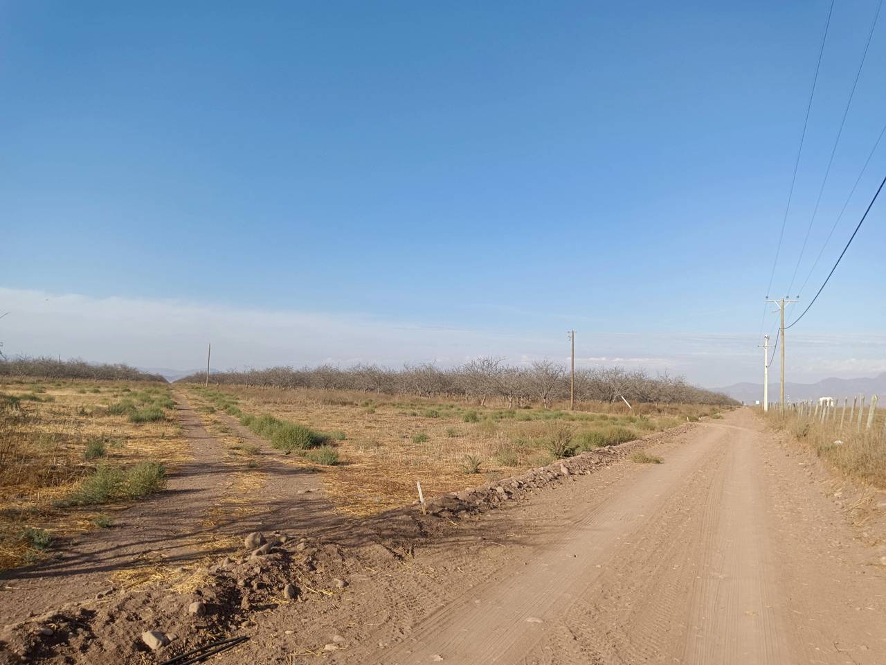 Terreno en venta en Ovalle — foto 8