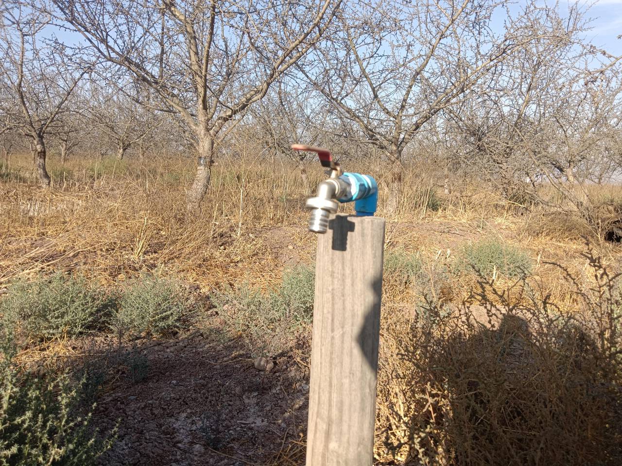 Terreno en venta en Ovalle — foto 9