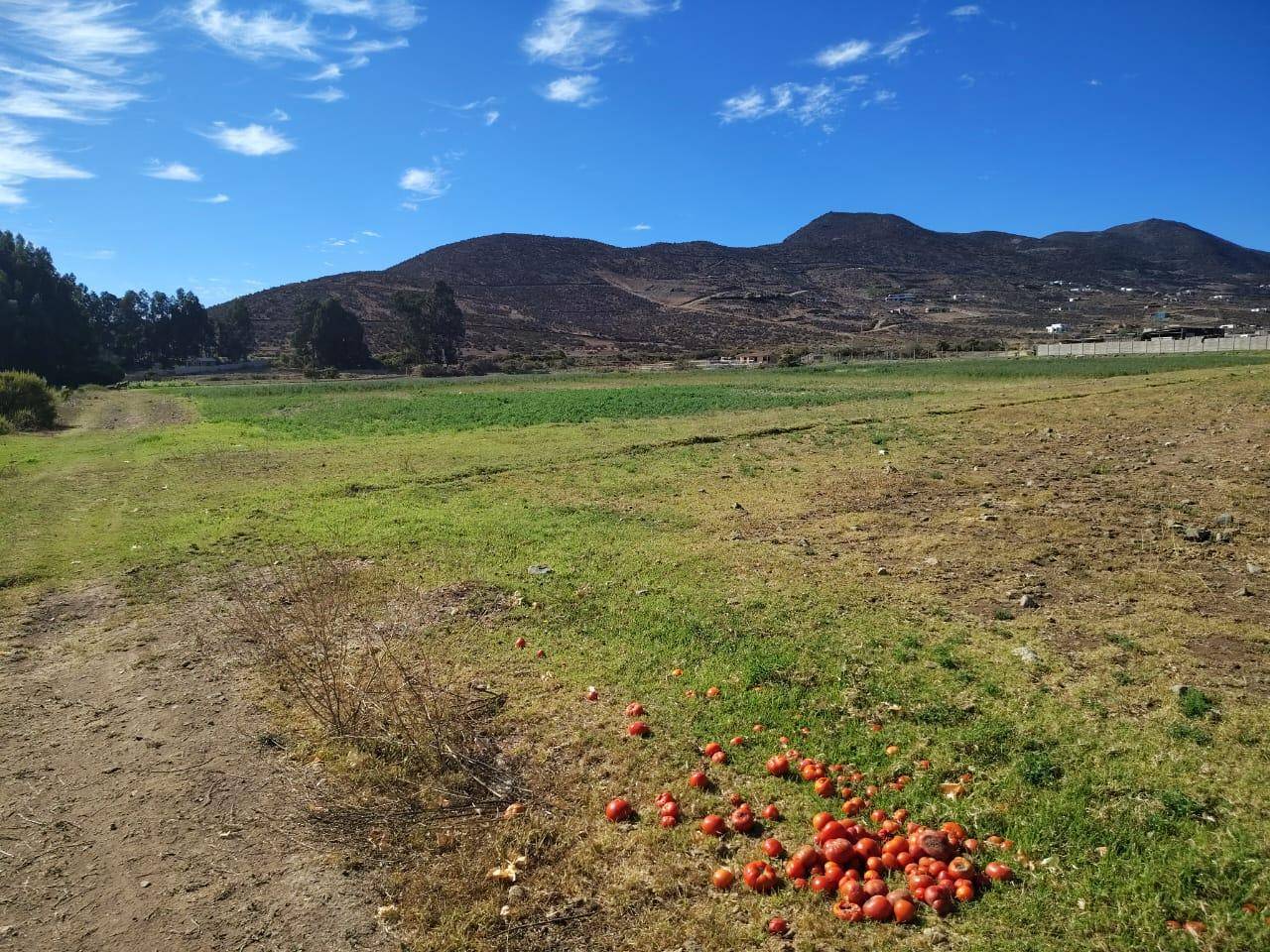 Terreno en venta en La Serena — foto 9