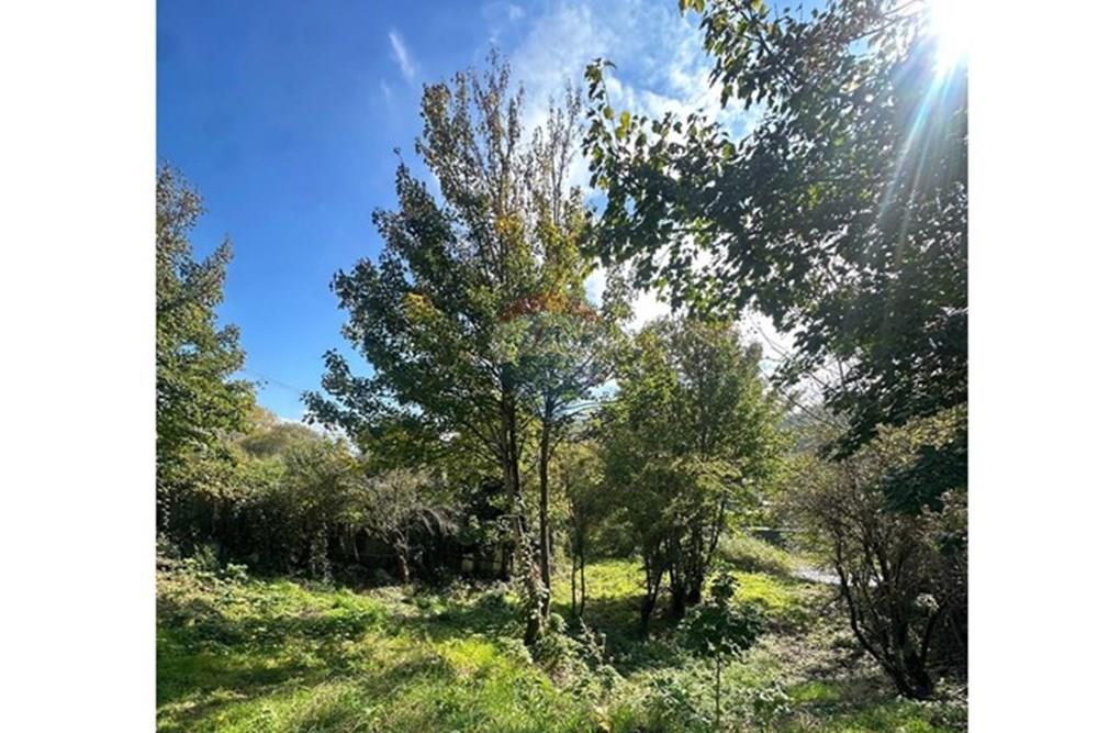 Terreno en venta en Osorno — foto 5
