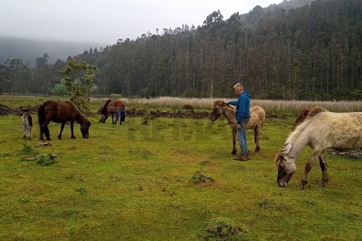 Terreno en venta en Valdivia — foto 2