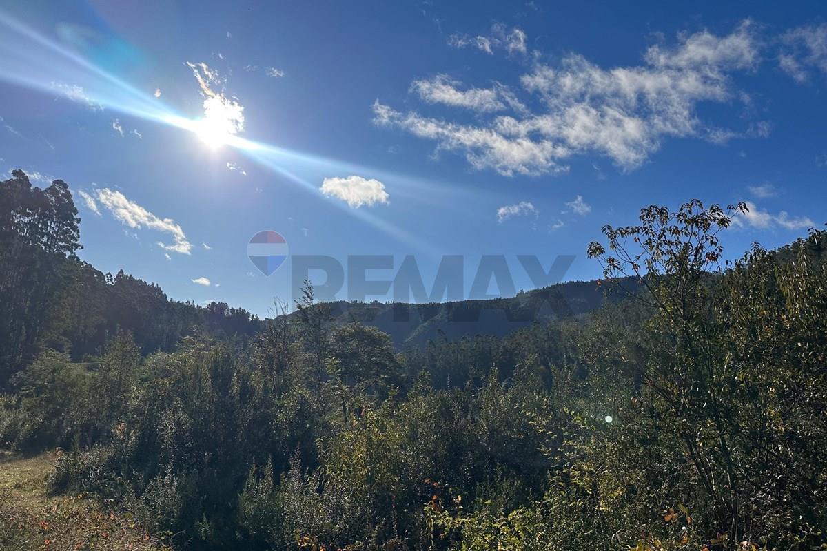 Terreno en venta en Valdivia — foto 5