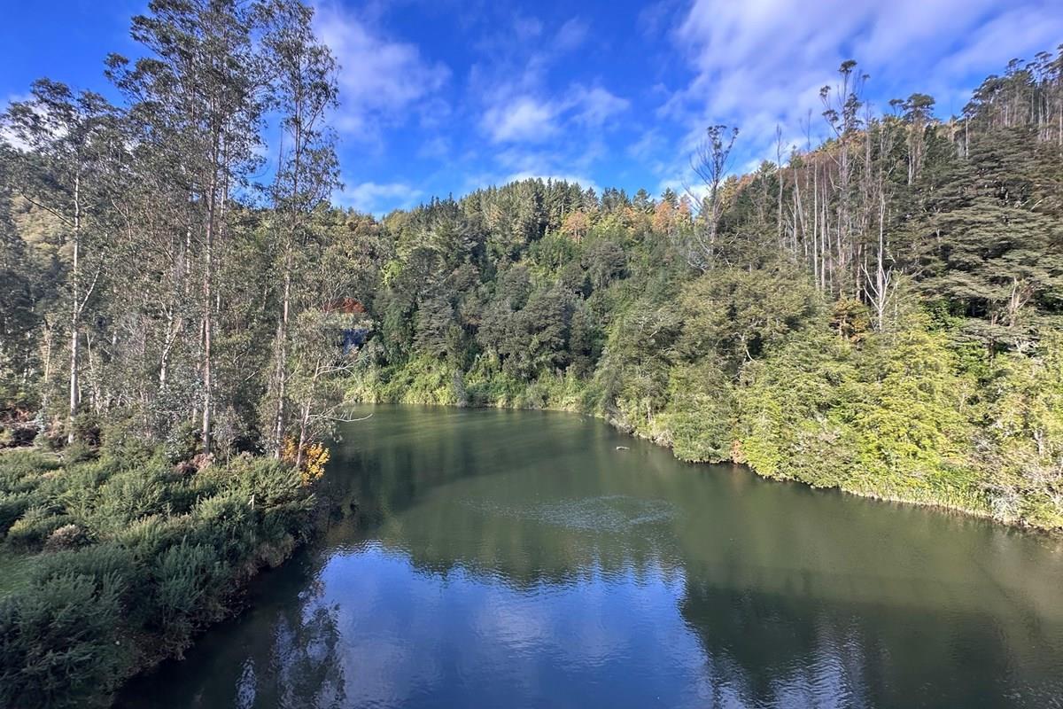 Terreno en venta en Valdivia — foto 10