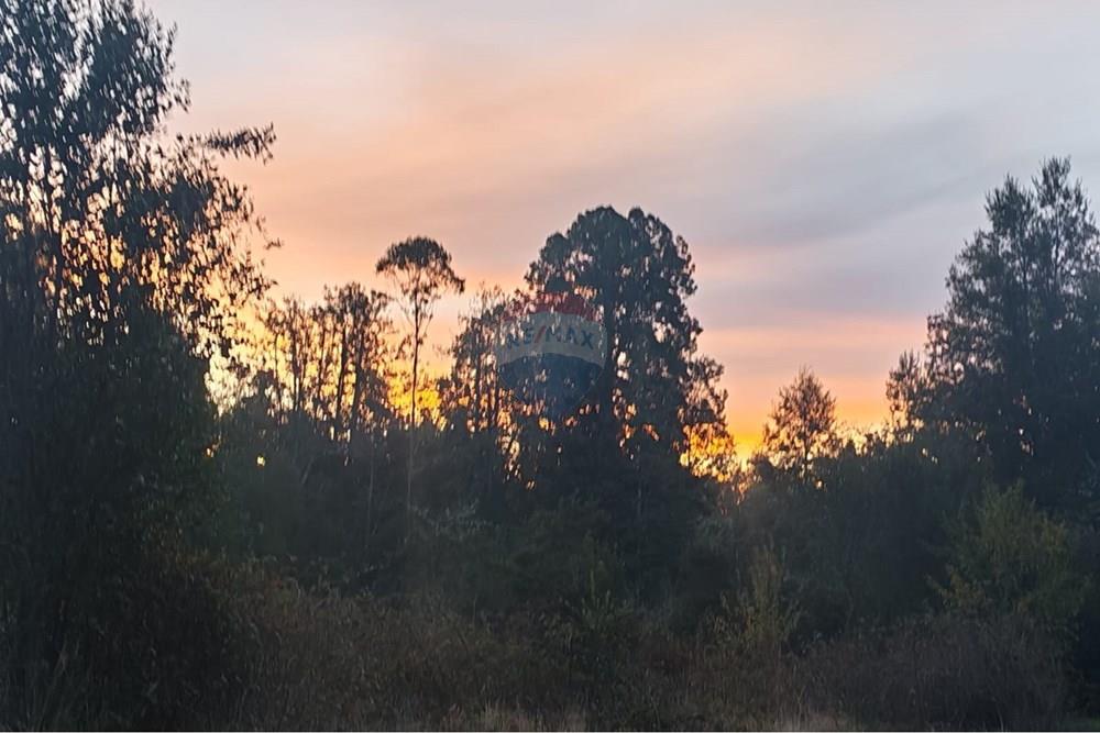 Parcela en venta en Villarrica — foto 4