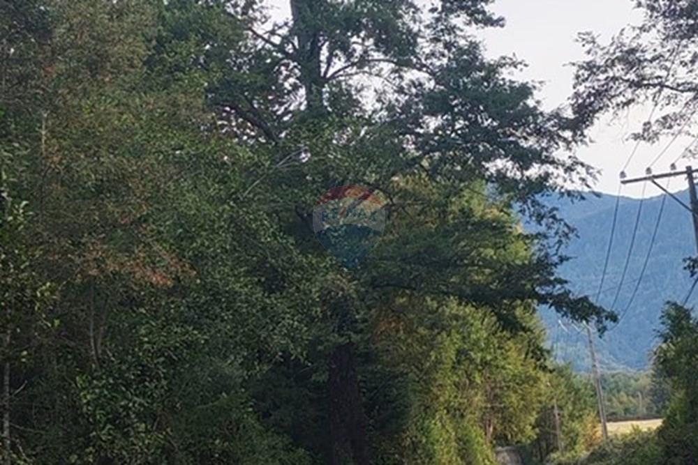 Parcela en venta en Villarrica — foto 7