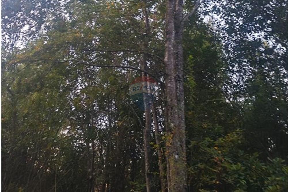 Parcela en venta en Villarrica — foto 8