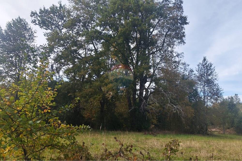 Parcela en venta en Villarrica — foto 9