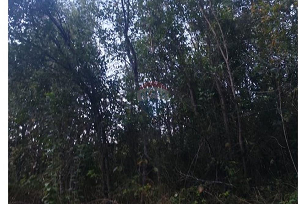 Parcela en venta en Villarrica — foto 10