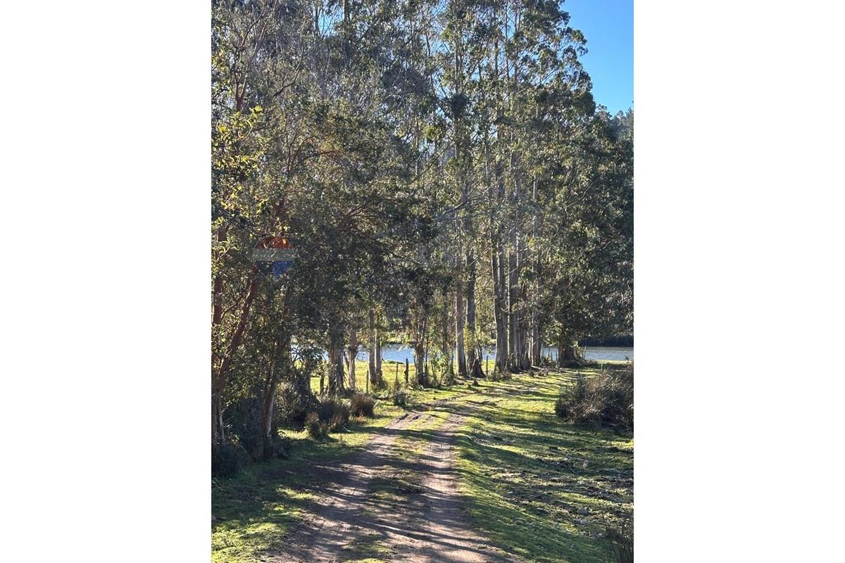 Terreno en venta en Valdivia — foto 6