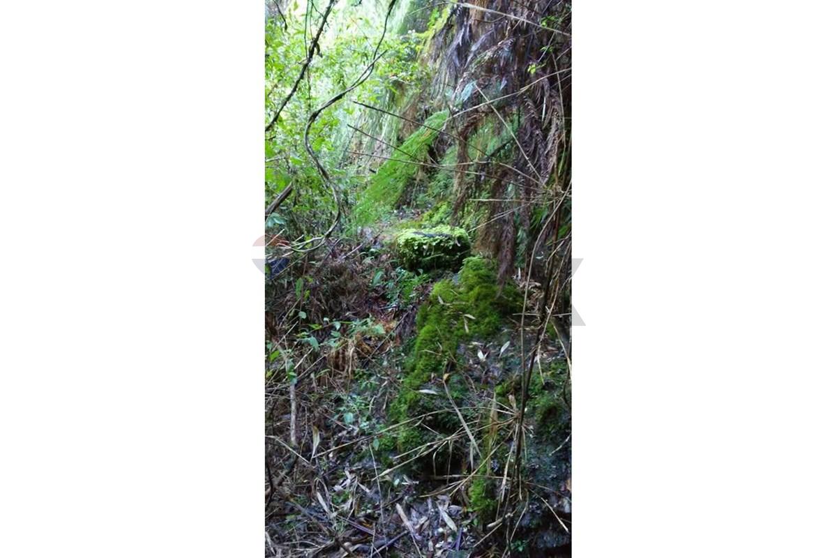 Terreno en venta en Valdivia — foto 10